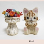 花とトラネコちゃん