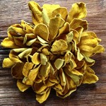 革花のカブトピン3Lサイズ 金具6cm　カラシ