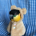 sumirebirdさま専用ページ