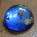 購買部182：星の種　fig.1　３