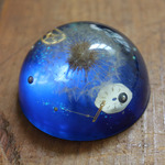 購買部183：星の種　fig.1　７
