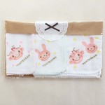 女の子出産祝 名入れ特別セット