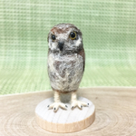 フクロウのきんたろうくん