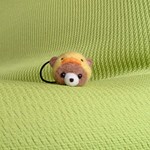 ひよこ帽子くまちゃん ヘアゴム 羊毛フェルト