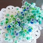 かすみ草ドライフラワー