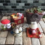 クリスマス企画！送料無料！雑貨福袋 ごまづくし