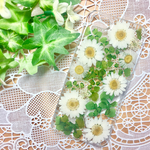 ノースポールの森 押し花iPhoneケース【受注製作】