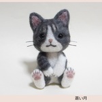 【ｎ様専用】はちわれトラネコちゃん
