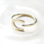 [andy]Ring,horse shoe