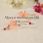 Akuya mitsusawa 様専用ページ