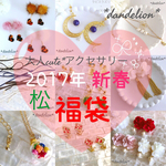 2017年新春大人可愛いアクセサリー福袋(松)