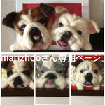 額縁犬オーダー