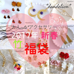2017年新春大人可愛いアクセサリー福袋(竹)