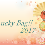 アクセサリー福袋♪ご希望どうぞ（お一人様一袋限定です）