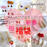 2017年新春大人可愛いアクセサリー福袋(梅)
