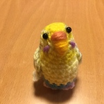waka1227さま♡ご注文専用ページ: セキセイインコちゃん