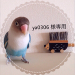 ya0306様専用 ご予約商品