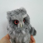 送料込み梟のひな(アフリカオオコノハズク)
