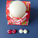 まんまるダルマとにわとりイヤリング・ピアス