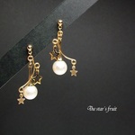 【ラスト再販】星の実ピアス(イヤリング変更可)