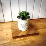 ヘリンボーンウッドタイル/ウッドプレート/オブジェ、室内植物のベースやカフェ風のインテリアに【ダークウォルナット】