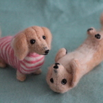sukisukihana様ご依頼品*ダックスちゃん