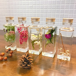 植物標本集（ハーバリウム ミニサイズ 5本セット）