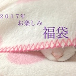 ✨送料無料✨　お楽しみ　福袋