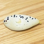 あざらしパンバレッタ（ごまいっぱい）①