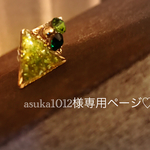 asuka1012様専用購入ページ♡