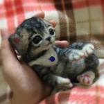おねがいにゃんこNo.159