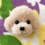 キューピー様専用　動物ぽんぽんトイプーブローチ　クリーム（大１）