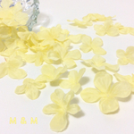 新色♡花びら30枚♡クリームイエロー