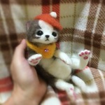 おねがいにゃんこNo.160