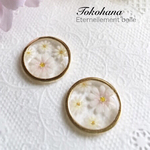 【再販4】《1.5cm》透け花ピアス