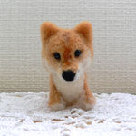 柴犬さん