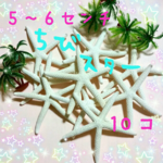 数量限定 小さめスターフィッシュ10個セット