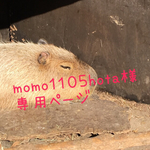 momo1105hota様専用ページ