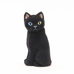 コルクのオッドアイ黒猫