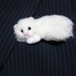 ﾓﾌﾓﾌ猫ちゃんブローチ