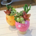 【78481様専用】新作！寄植えたまごちゃん【多肉植物】