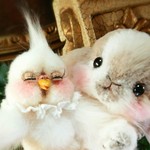 【white様 専用】