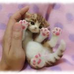 おねがいにゃんこＮｏ．8