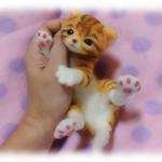 おねがいにゃんこＮｏ．７