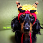 鬼さん帽子《犬猫ペット用》