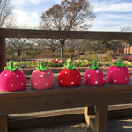 いちごぼうし 紅いちご