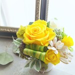 檸檬yellow Greden