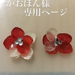 かおぽん様専用ページ