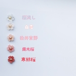 5種の樹から舞い落ちた桜ピアス  🌸入園・入学にも🌸