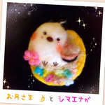 お月さまと シマエナガ羊毛ブローチ